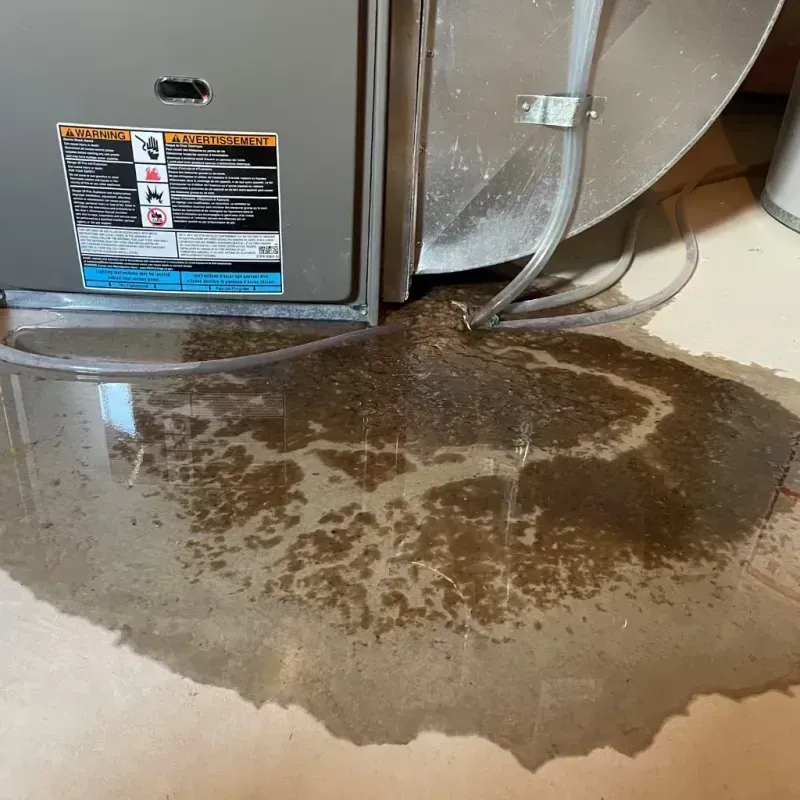 Appliance Leak Cleanup in Lake Mills, WI